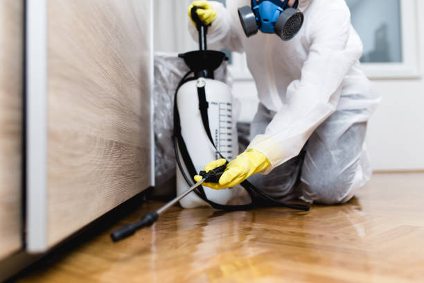 Best Wasp Removal Services  in Wellington, KS