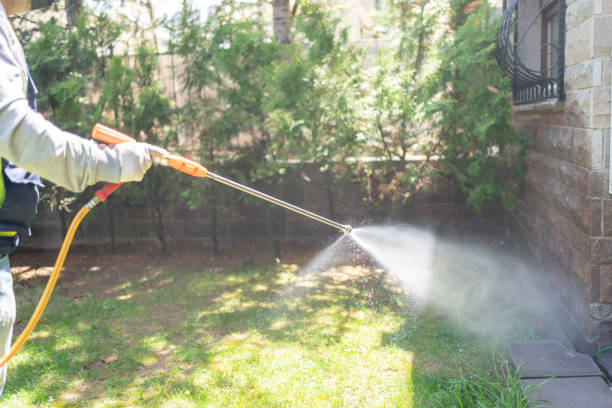 Best Insect Control  in Wellington, KS