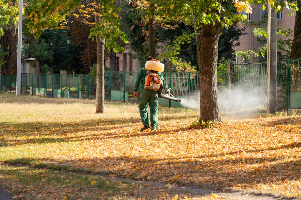 Best Local Pest Control Services  in Wellington, KS