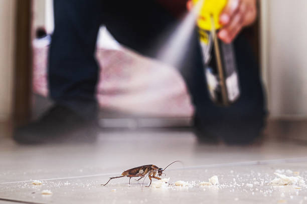 Best Wildlife Control Services  in Wellington, KS
