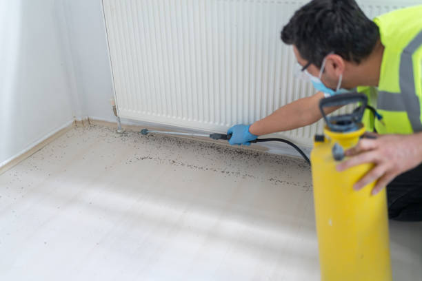 Best Pest Control Treatment  in Wellington, KS