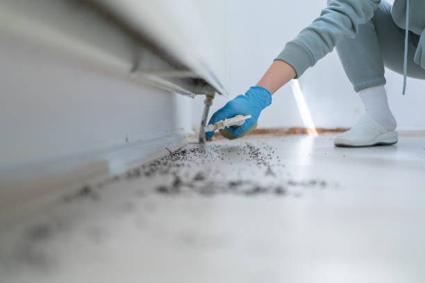 Best Best Pest Control Companies  in Wellington, KS